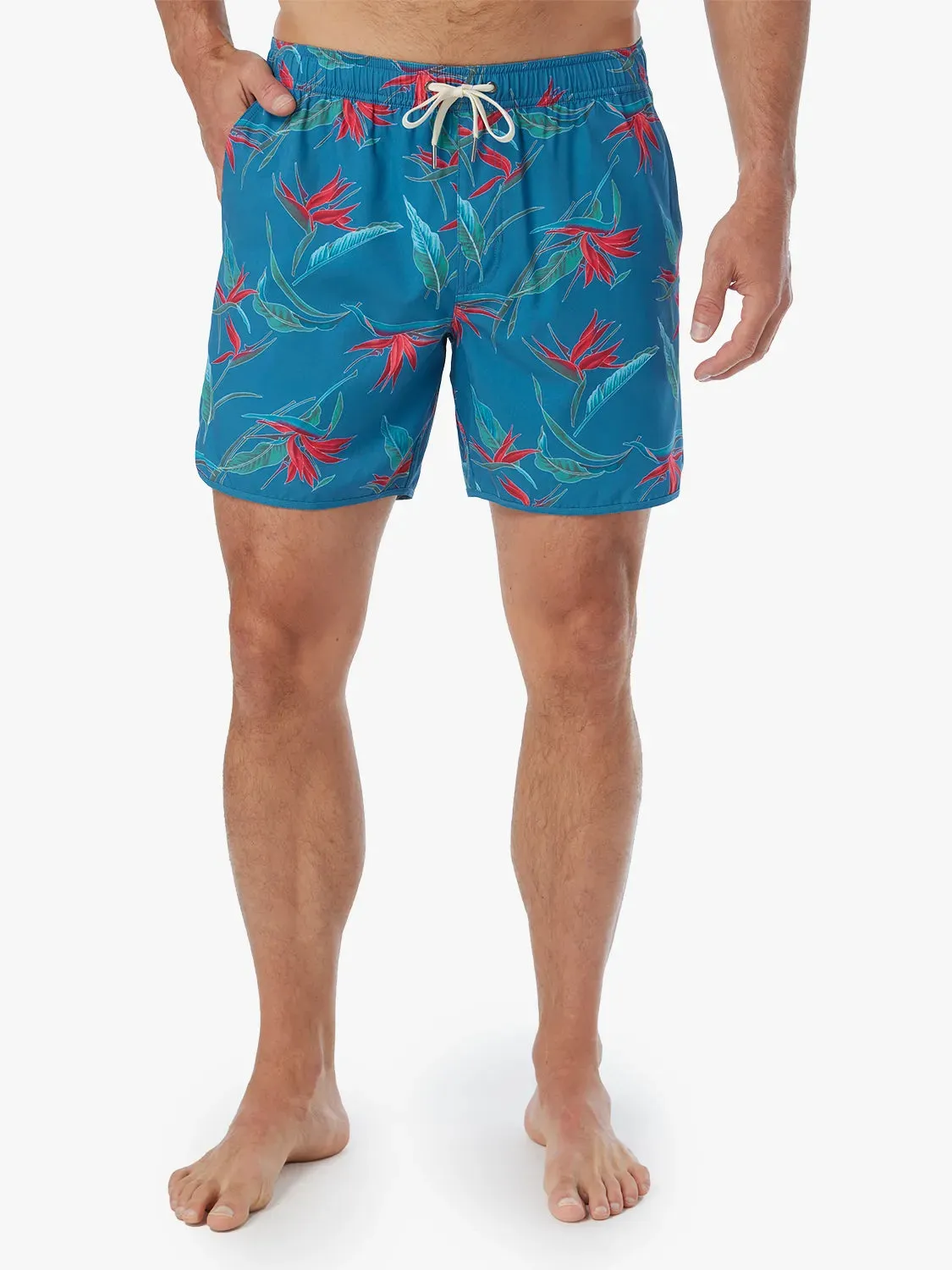 Anchor Short | Teal Birds Of Paradise