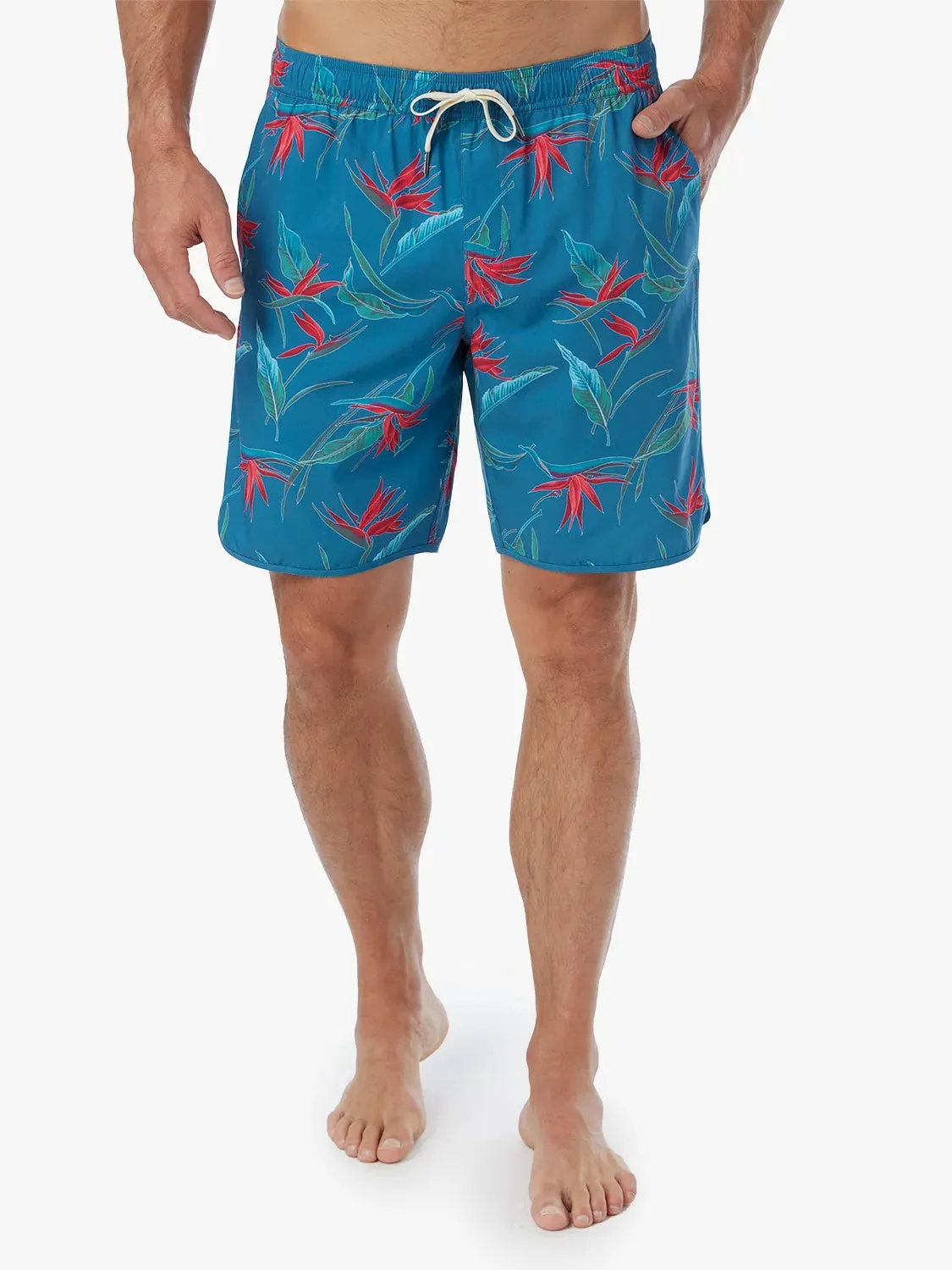 Anchor Short | Teal Birds Of Paradise