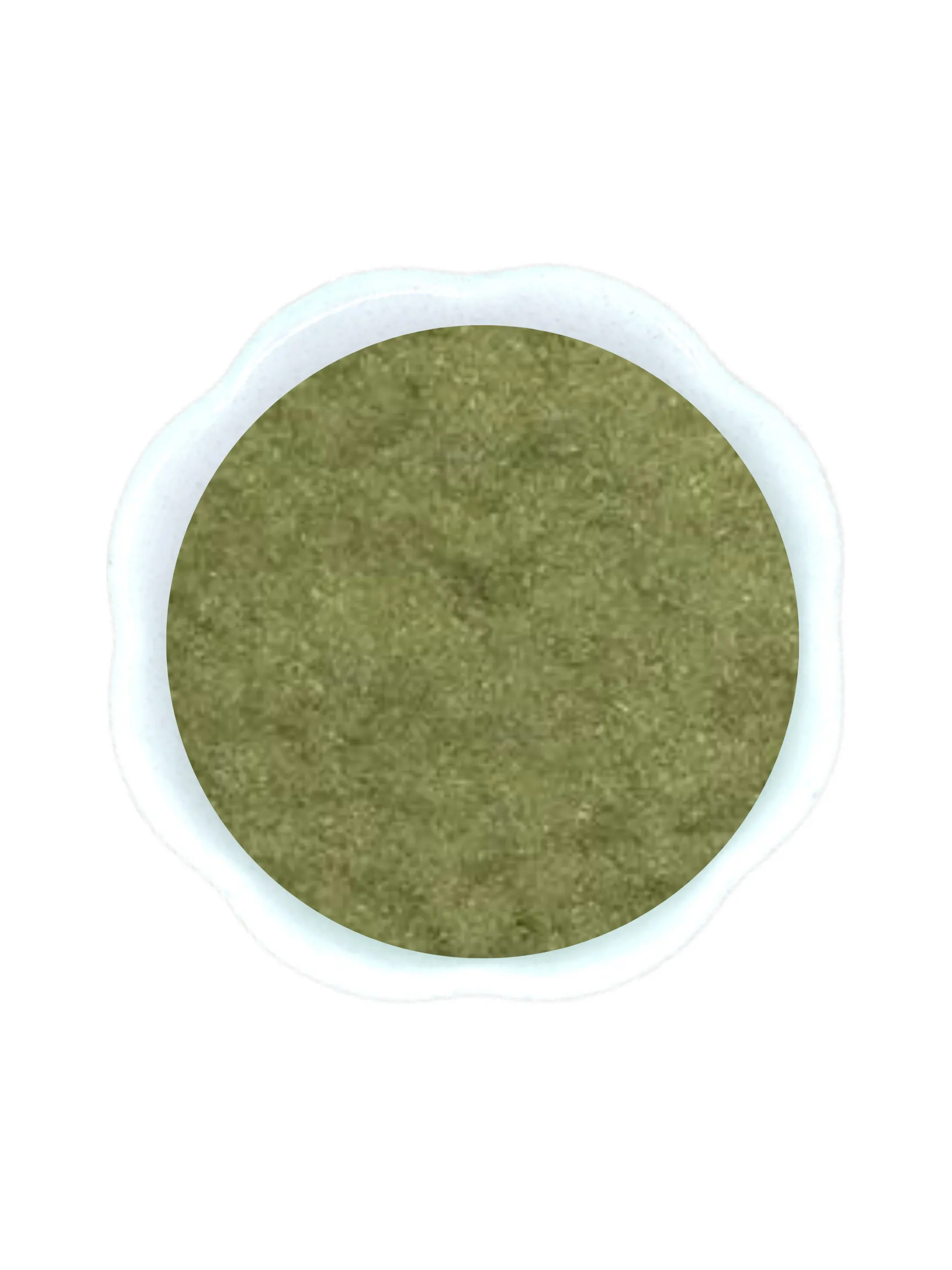 Andrographis Extract