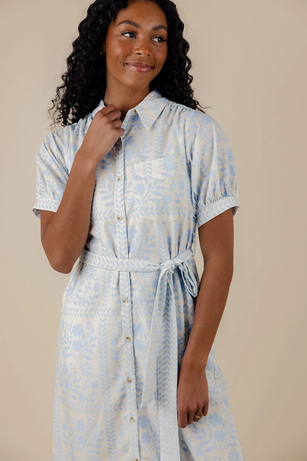 Ashoka Collared Dress