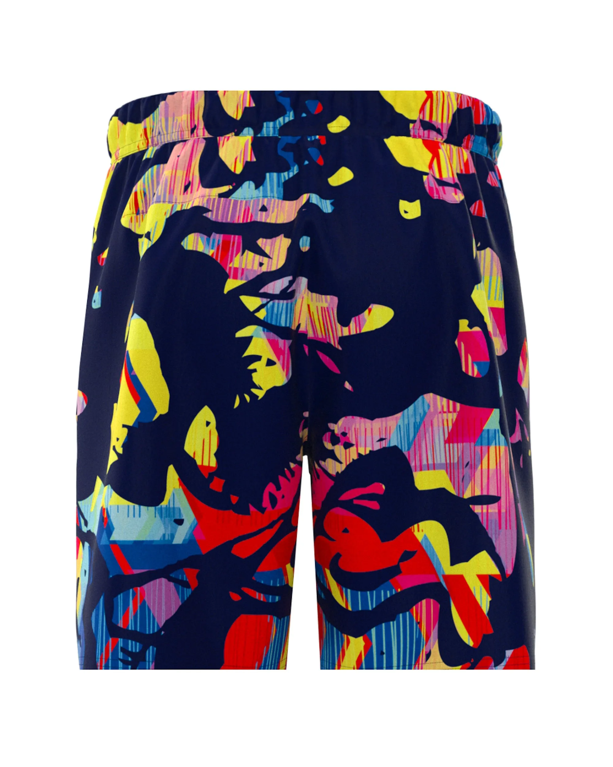 Boys Wild Arts Shorts