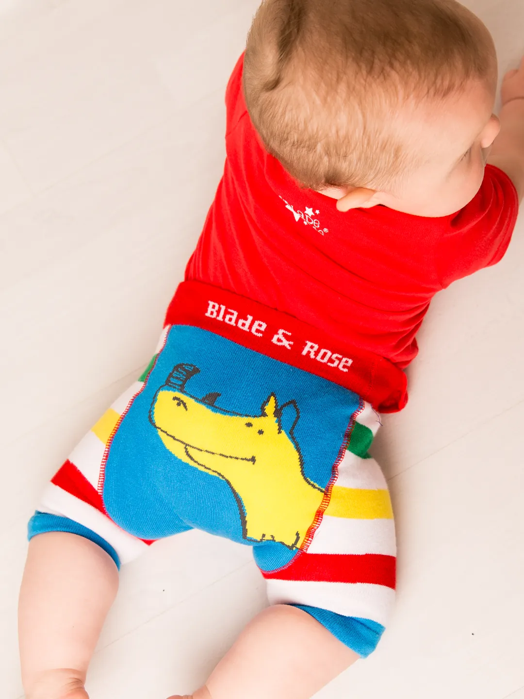 Brave and Bold Shorts