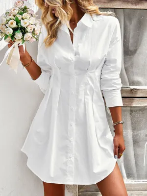 Button-Down Shirt Dress with Collared Neckline and Tailored Fit
