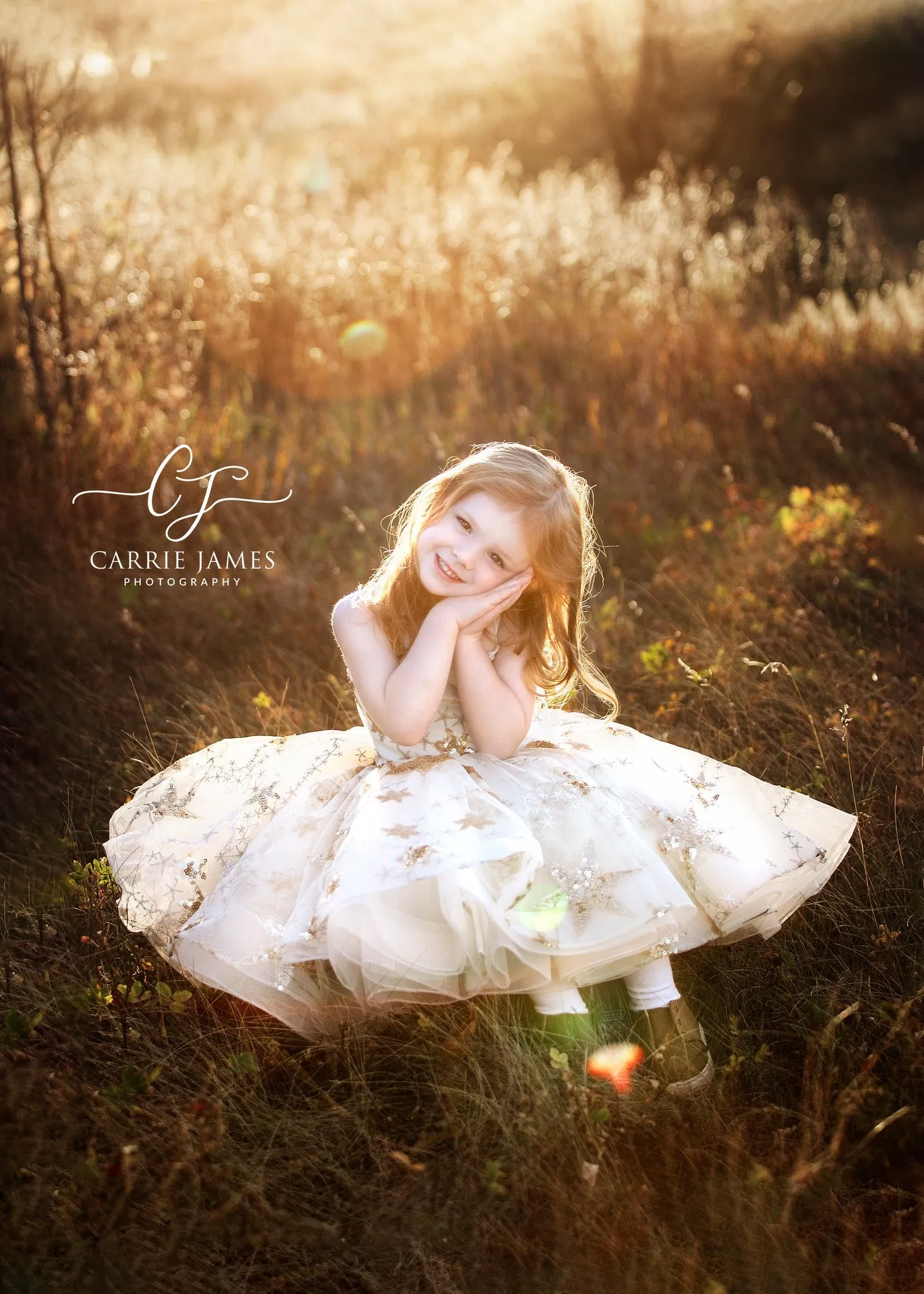 Champagne Star Tulle Flower Girls Party Dresses for Weddings Birthday Children Princess Photo Shoot Dress Tutu Gown YEWEN YW21015