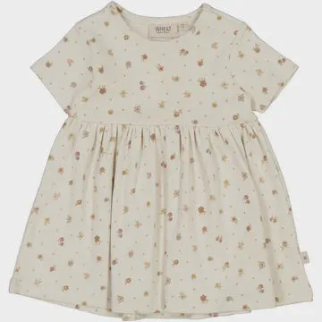 Dress Nova Baby in Chalk Flowers