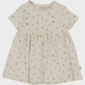 Dress Nova Baby in Chalk Flowers
