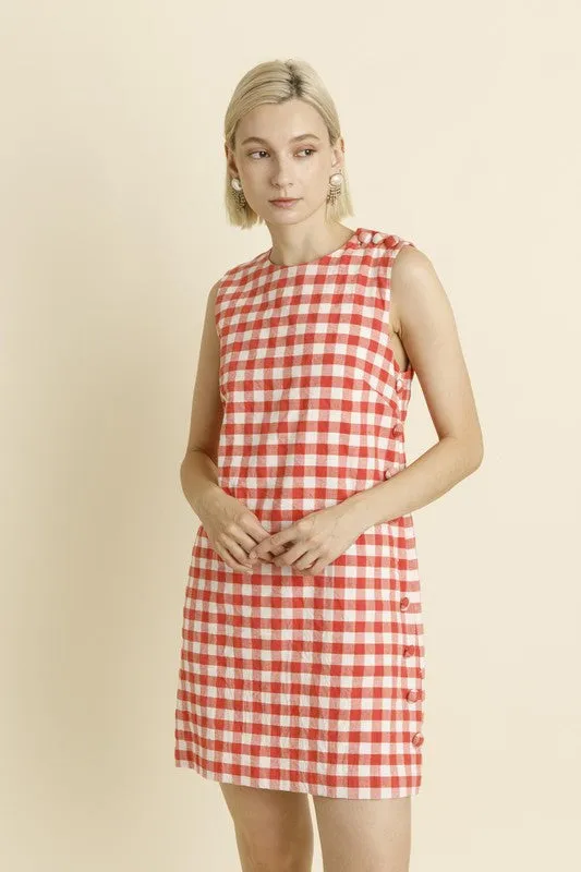 Gingham Mini Dress W/ Buttons