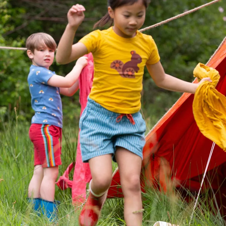Horizon Blue Striped Twill Shorts by Little Green Radicals
