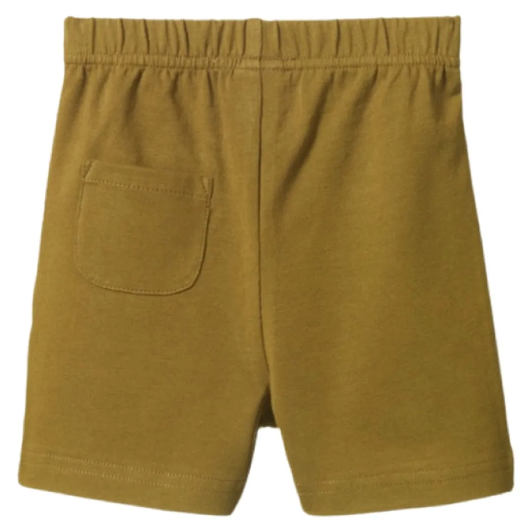Jimmy Shorts - Cactus