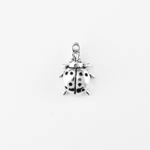 Ladybug