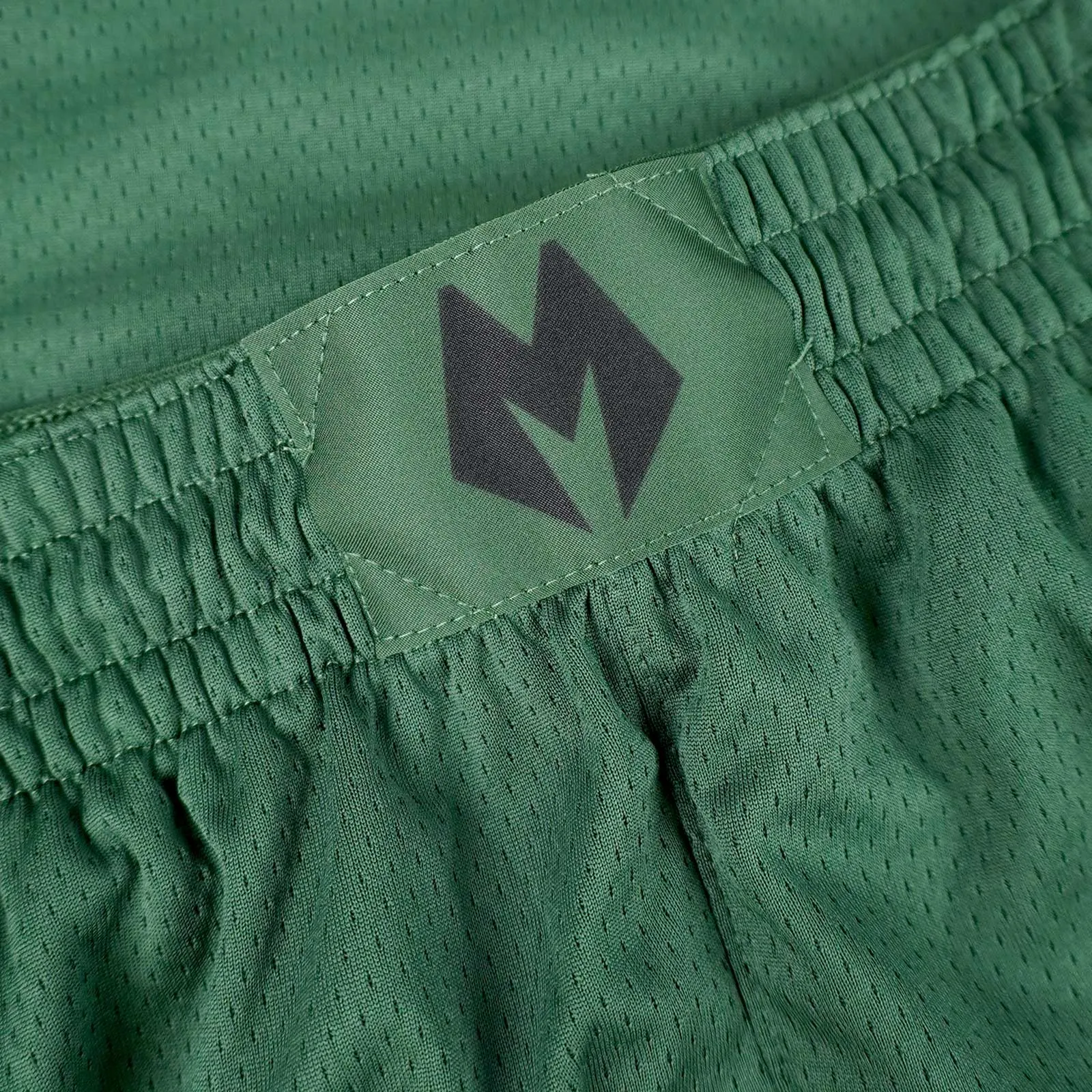Milwaukee Bucks Icon Edition NBA Swingman Shorts - Green