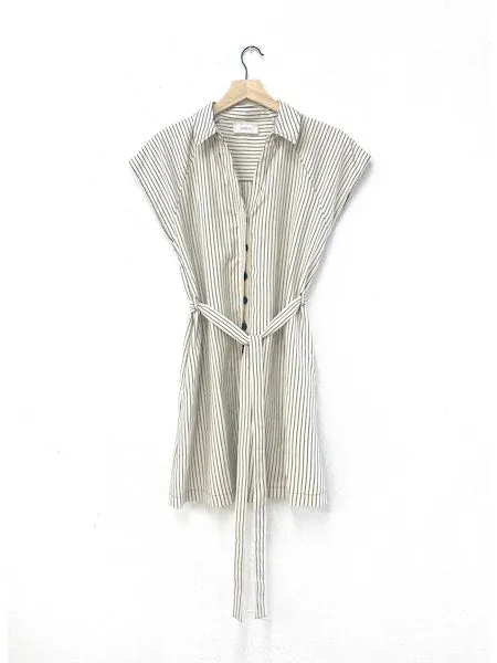 Pin Shirtdress