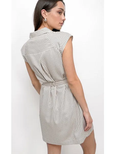 Pin Shirtdress