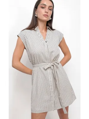 Pin Shirtdress