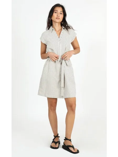Pin Shirtdress