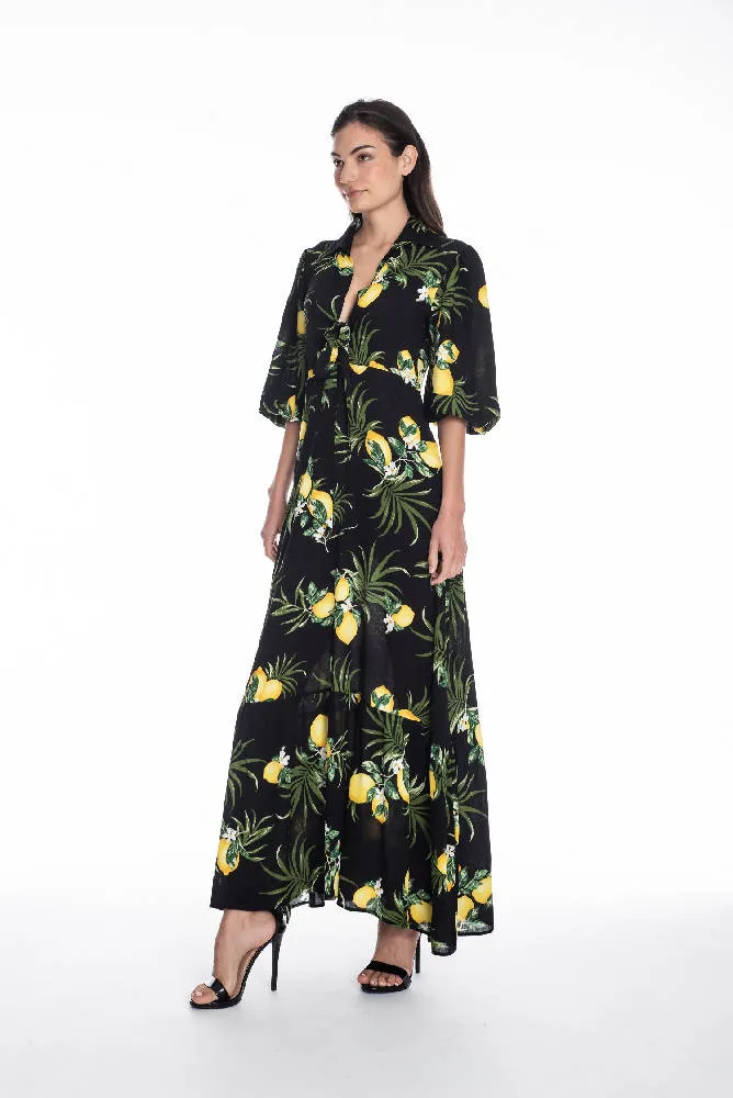 Susan Dress