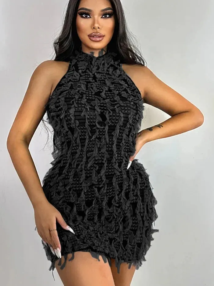 Tassel Sleeveless Knit See Through Stretch Dress