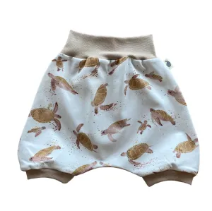 Turtles Brown