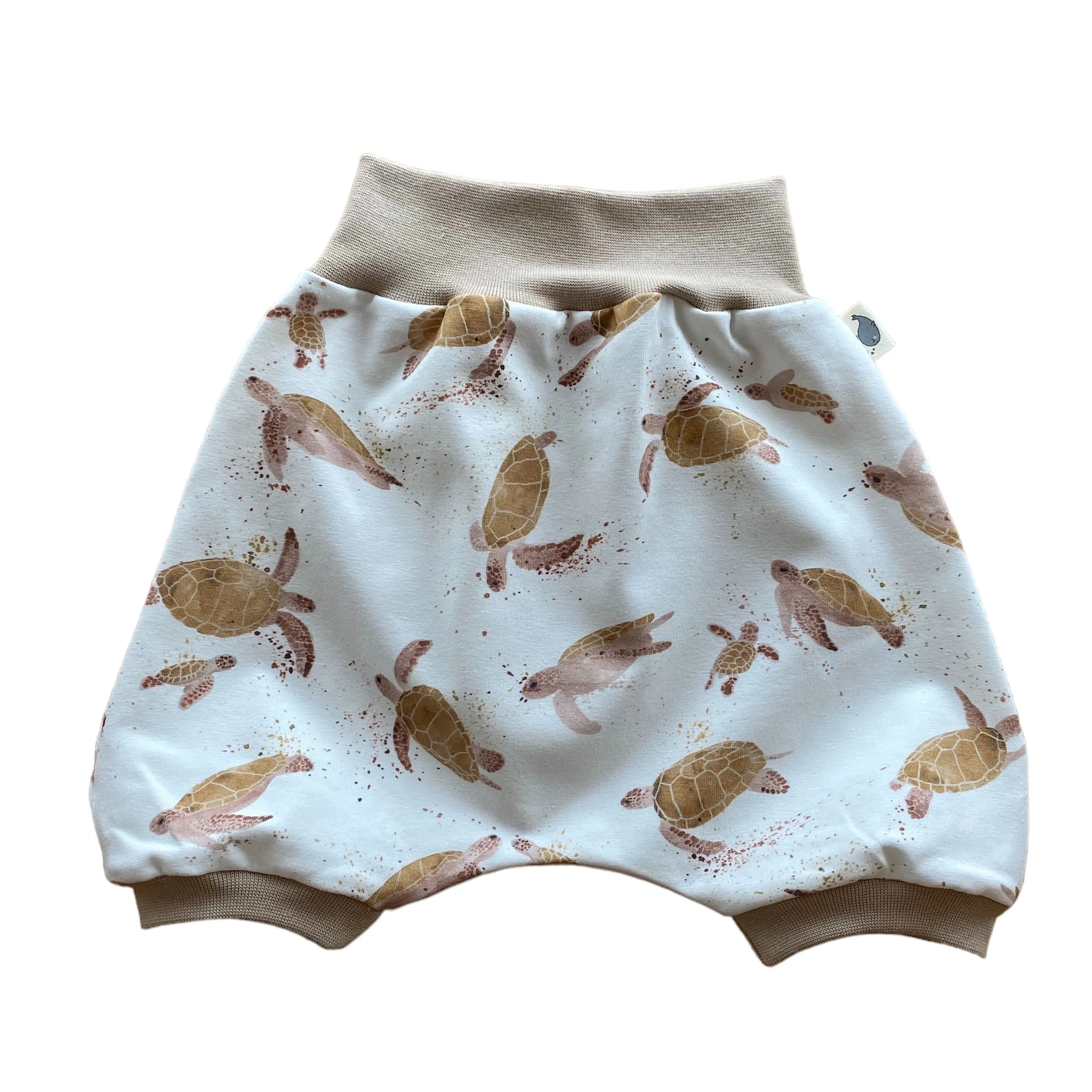 Turtles Brown