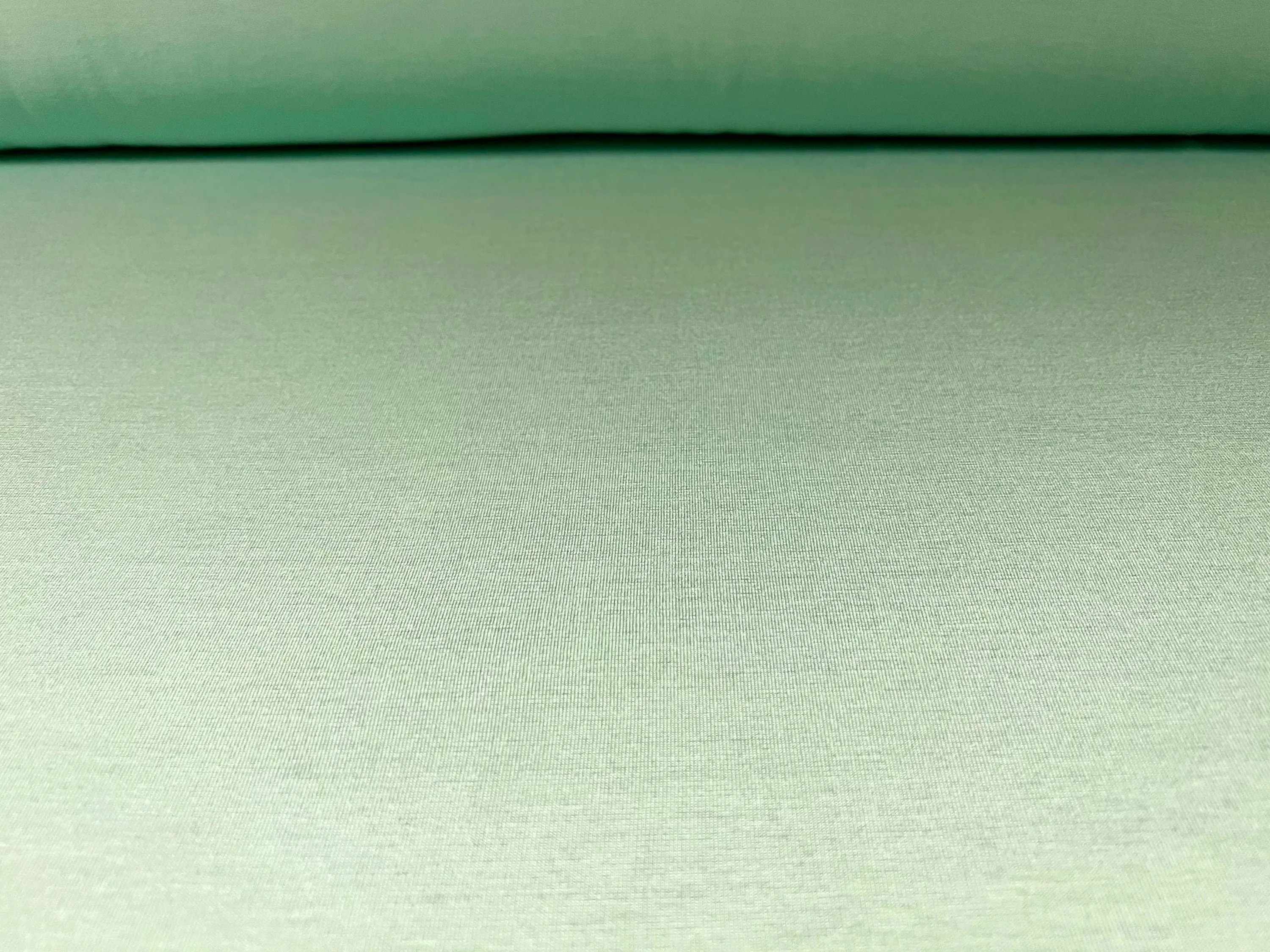 Viscose Spandex stretch single jersey fabric, per metre - plain - mint green